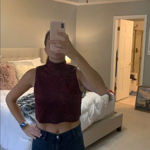 Zara Burgundy Crop Top